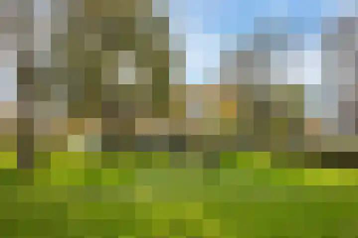 Jaap Edendreef 90 Utrecht thumbnail 24