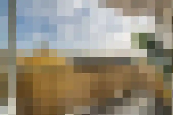 Jaap Edendreef 90 Utrecht thumbnail 5