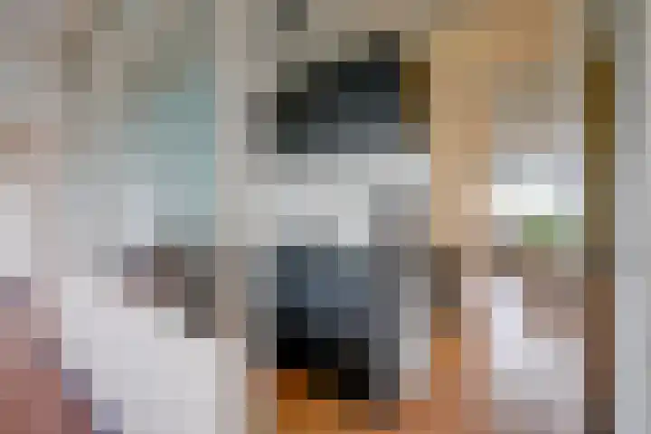 Jaap Edendreef 98 Utrecht thumbnail 21