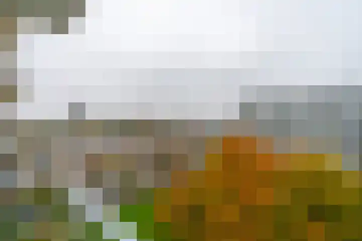 Jaap Edendreef 98 Utrecht thumbnail 28