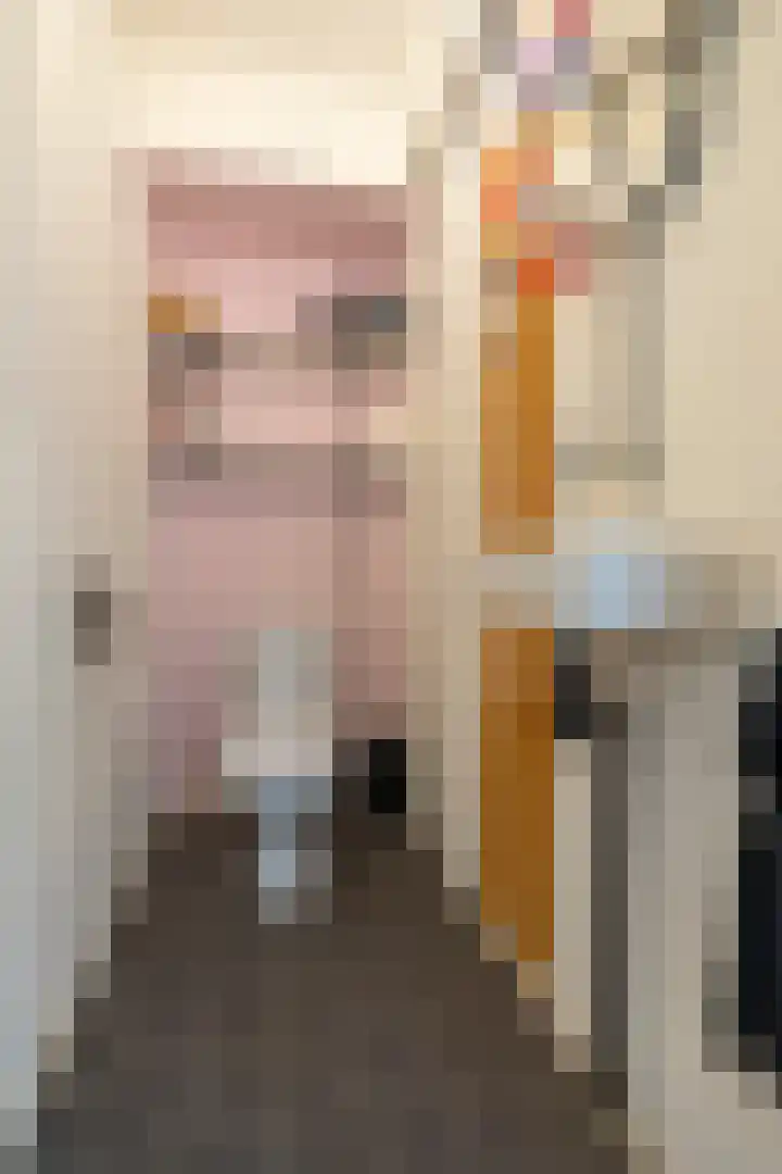 Jaap Edendreef 98 Utrecht thumbnail 34