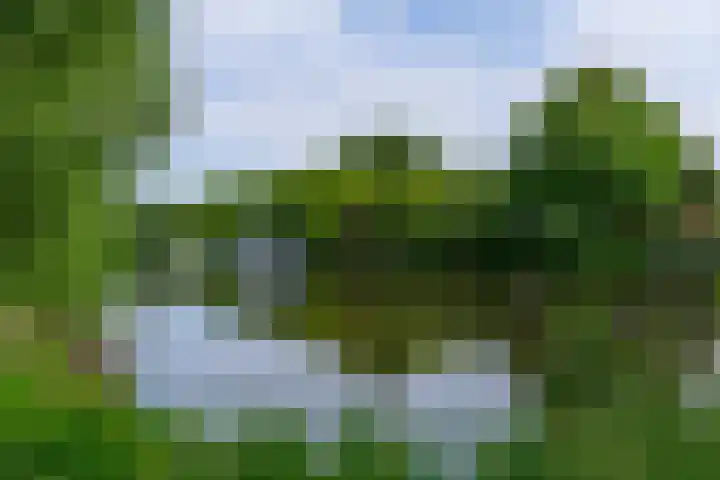 Jaap Edendreef 98 Utrecht thumbnail 39