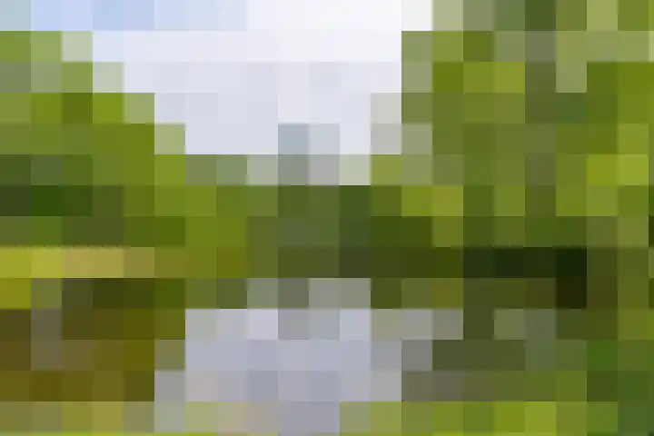 Jaap Edendreef 98 Utrecht thumbnail 40