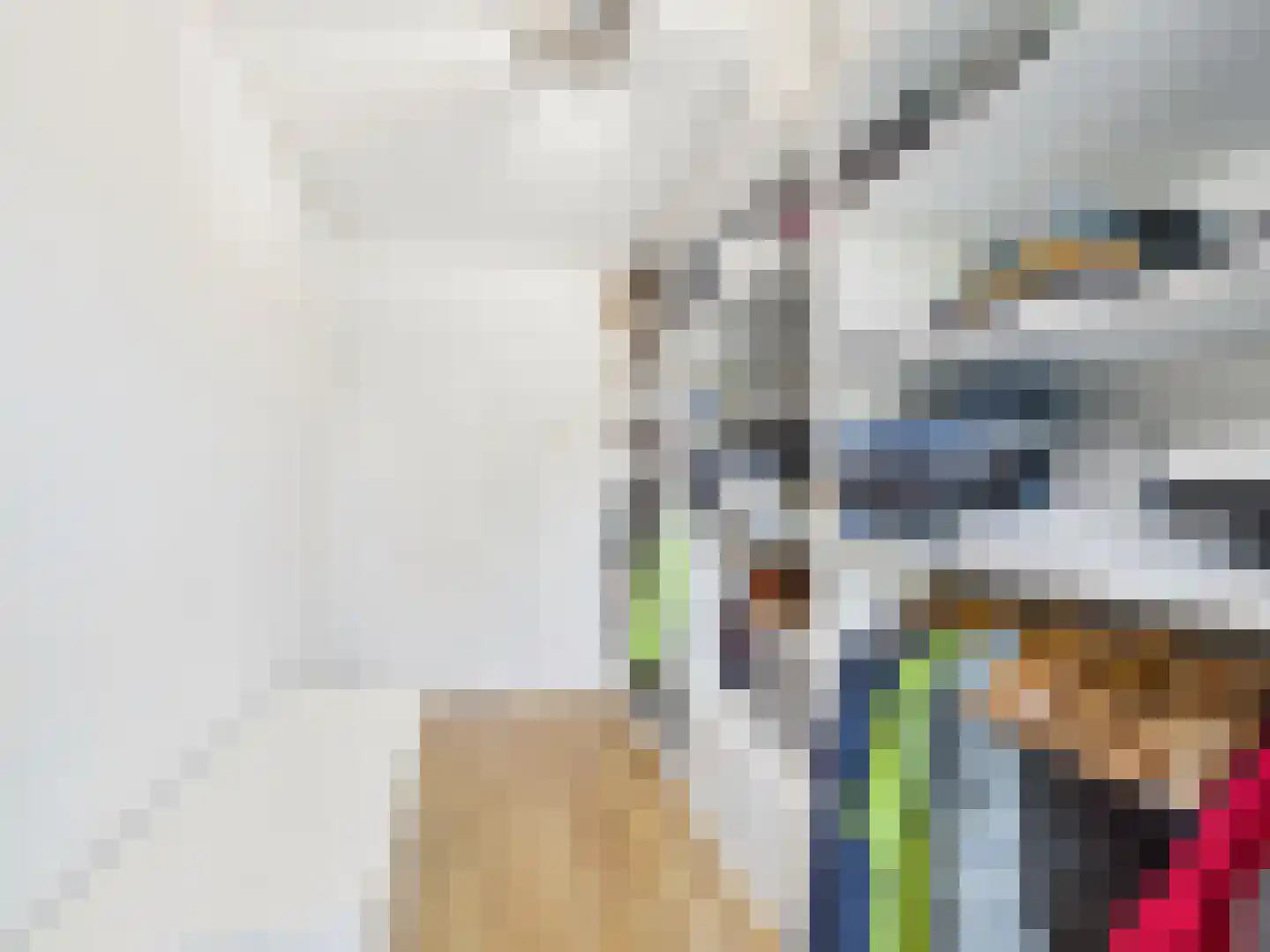 Jaap Edenlaan 108 Oudenbosch thumbnail 40