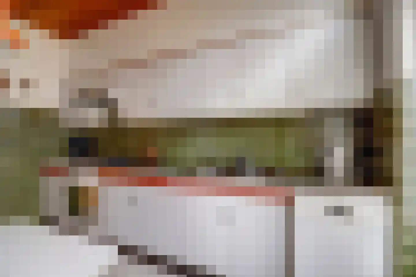 Jaap Edenlaan 11 Gouda thumbnail 13