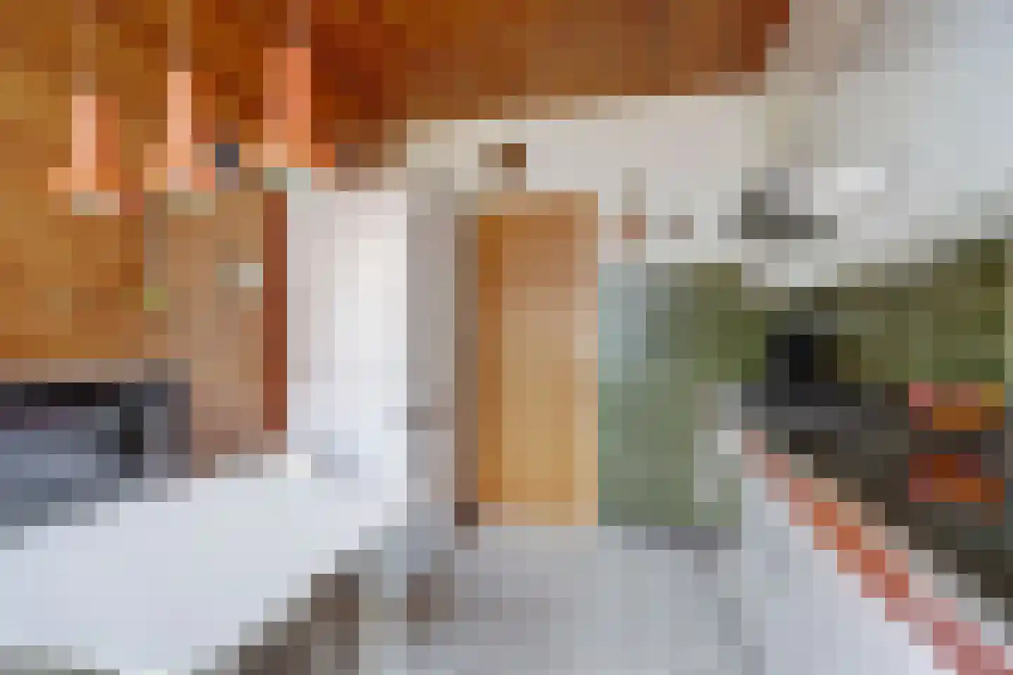 Jaap Edenlaan 11 Gouda thumbnail 14