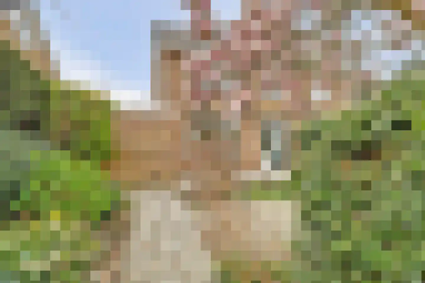 Jaap Edenlaan 11 Gouda thumbnail 35