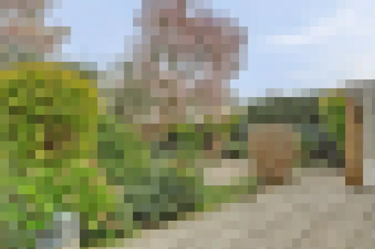Jaap Edenlaan 11 Gouda thumbnail 36