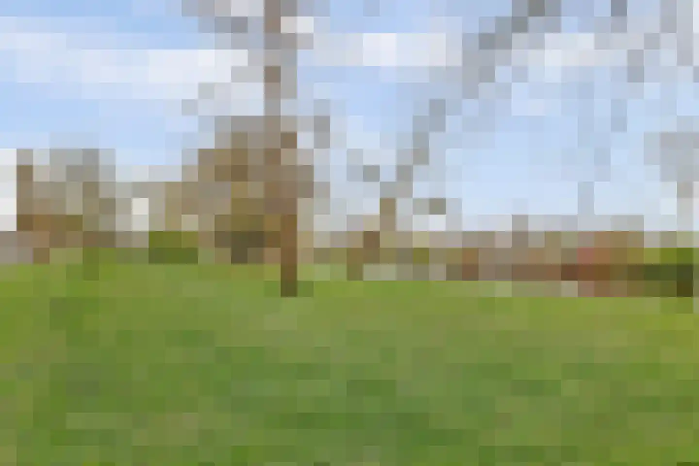 Jaap Edenlaan 11 Gouda thumbnail 43
