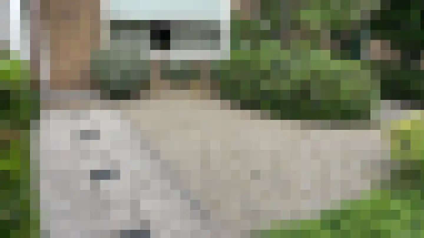 Jaap Edenlaan 11 Gouda thumbnail 6