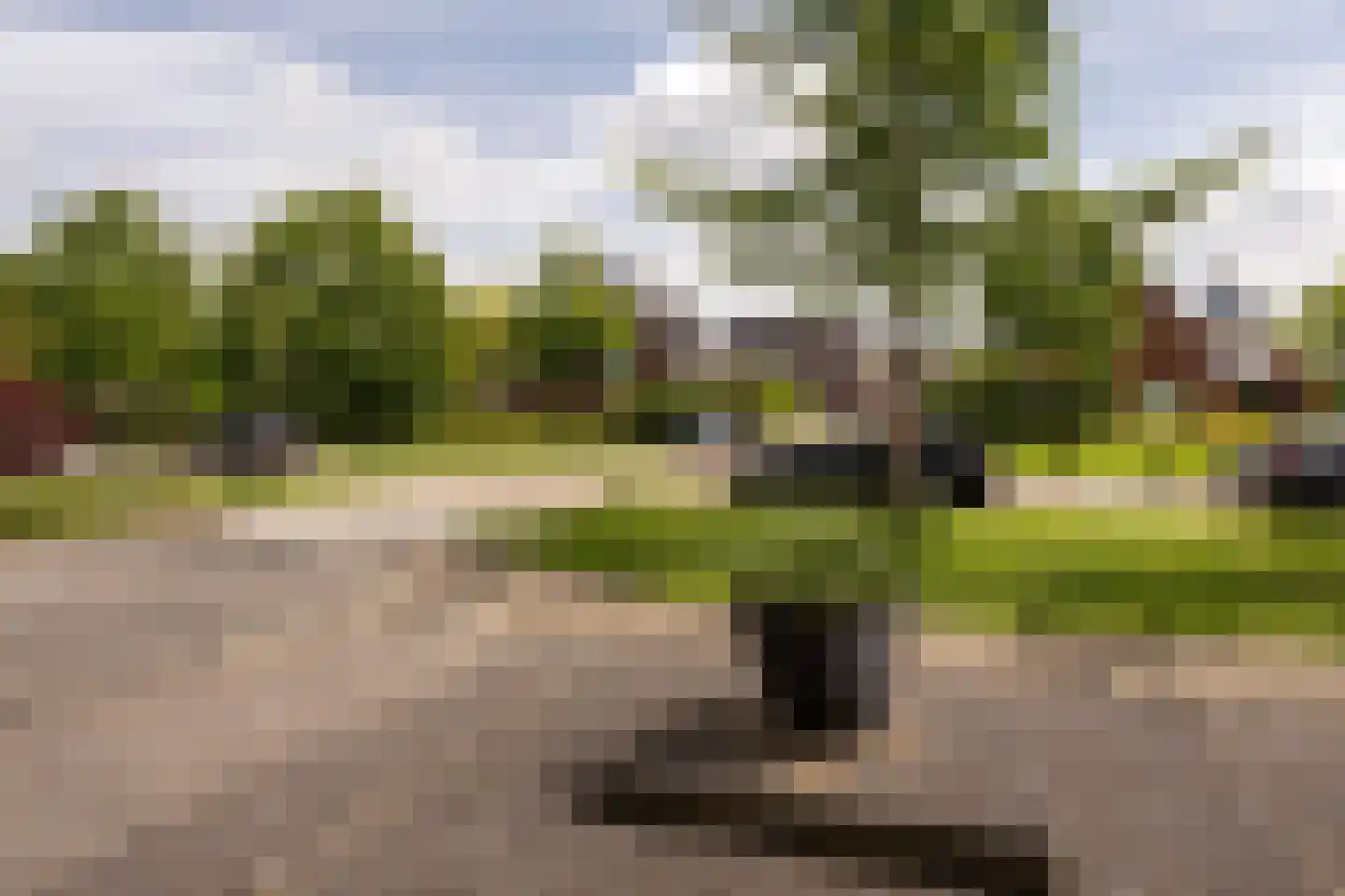Jaap Edenlaan 112 Oudenbosch thumbnail 30