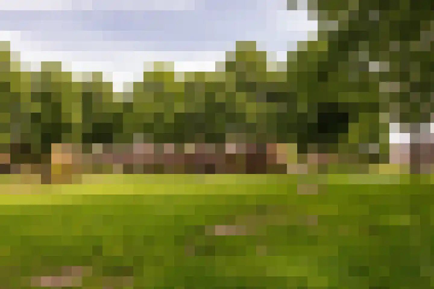 Jaap Edenlaan 112 Oudenbosch thumbnail 36