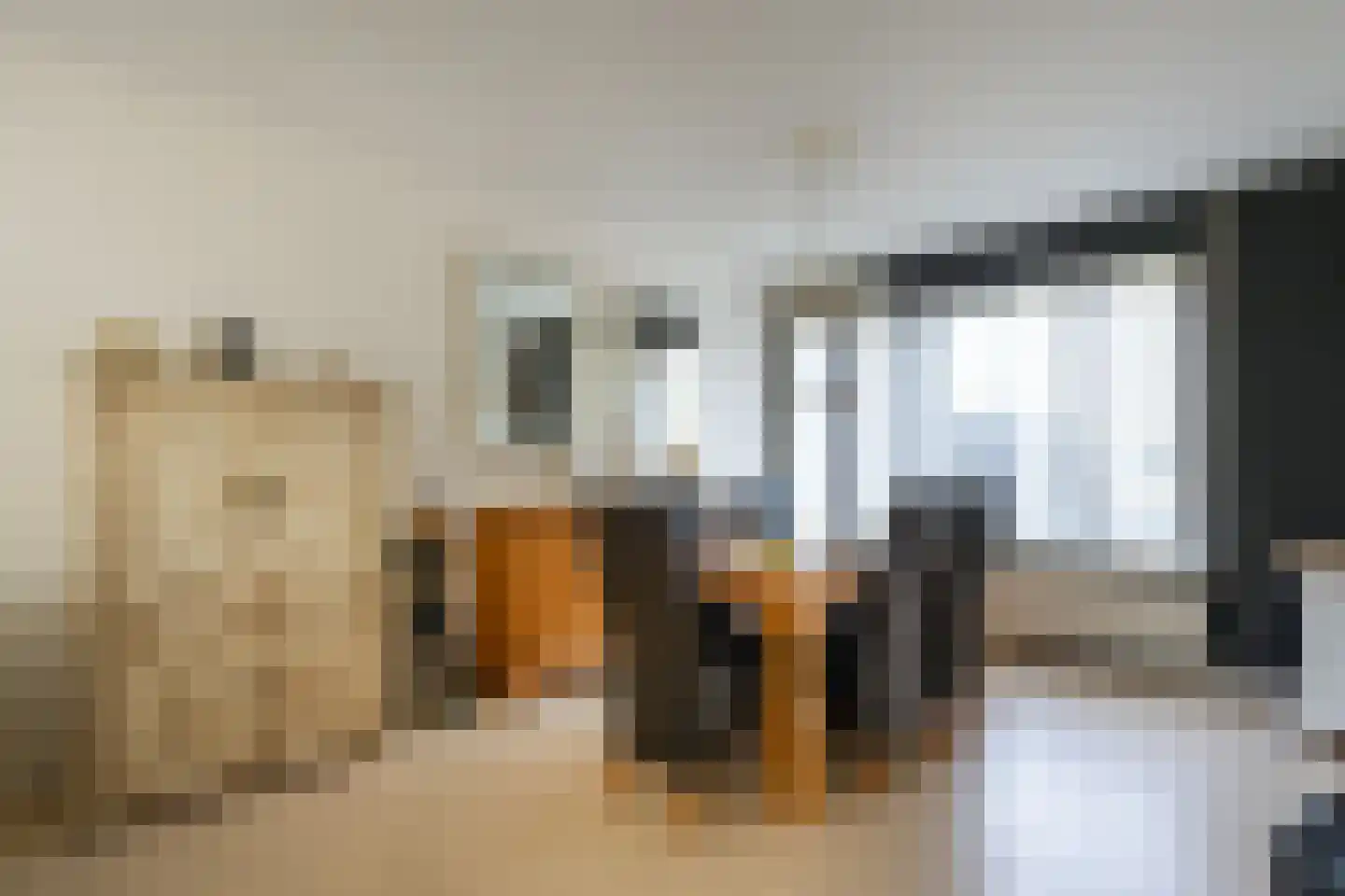 Jaap Edenlaan 112 Oudenbosch thumbnail 9