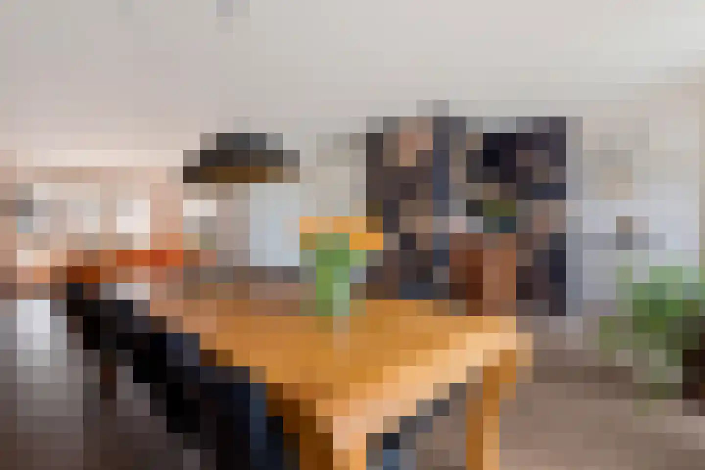 Jaap Hamminglaan 9 Eindhoven thumbnail 10