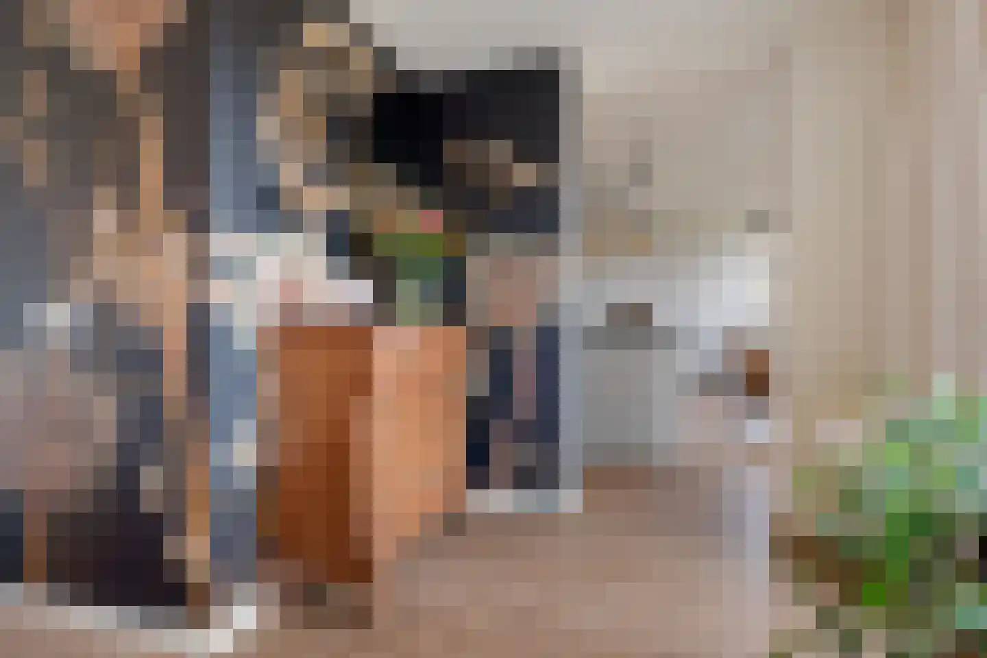 Jaap Hamminglaan 9 Eindhoven thumbnail 14