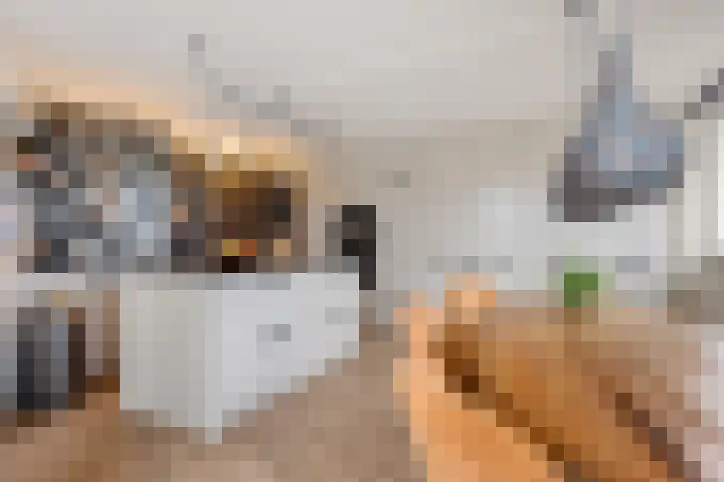 Jaap Hamminglaan 9 Eindhoven thumbnail 16