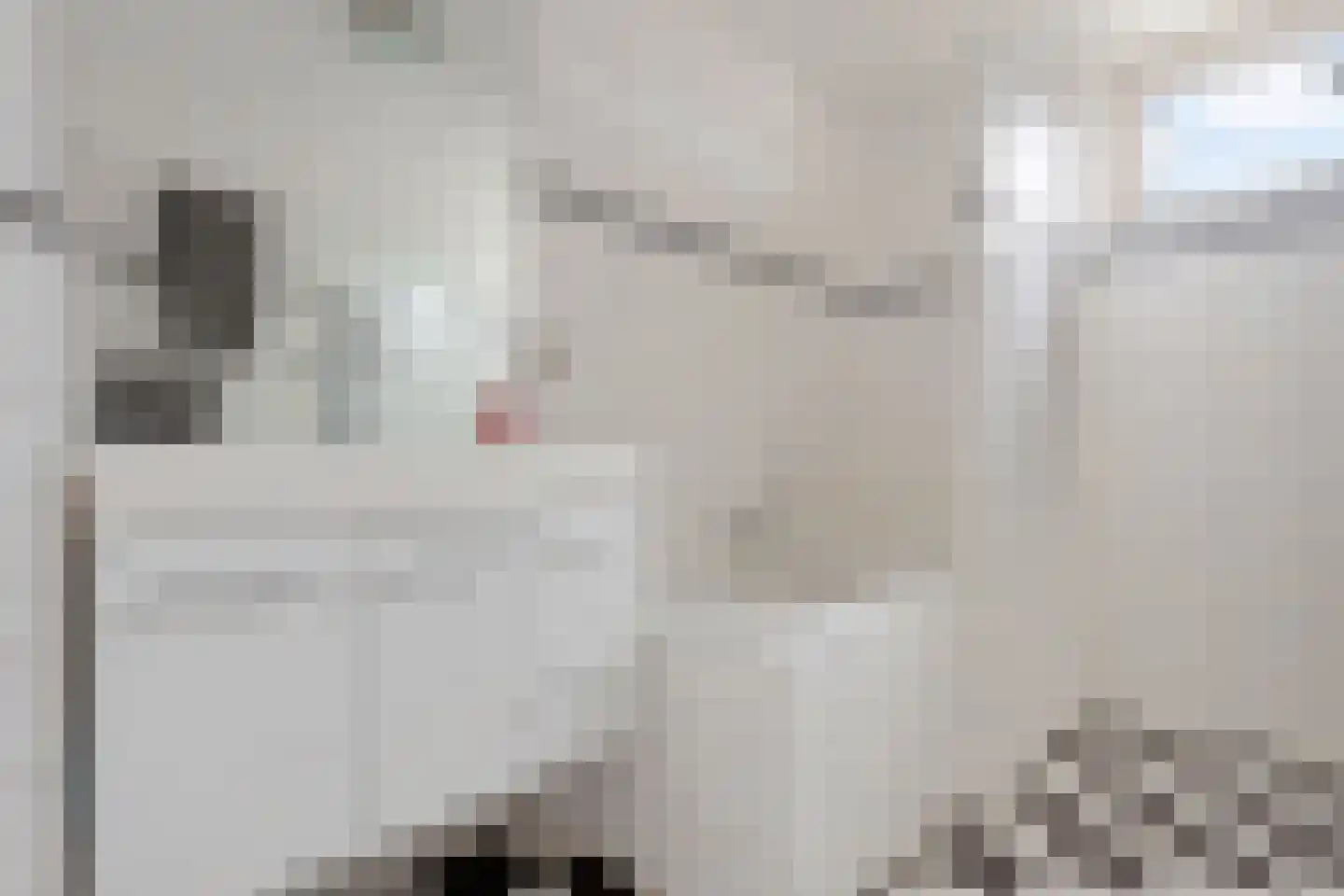 Jaap Hamminglaan 9 Eindhoven thumbnail 20