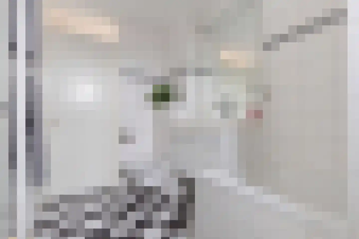 Jaap Hamminglaan 9 Eindhoven thumbnail 22
