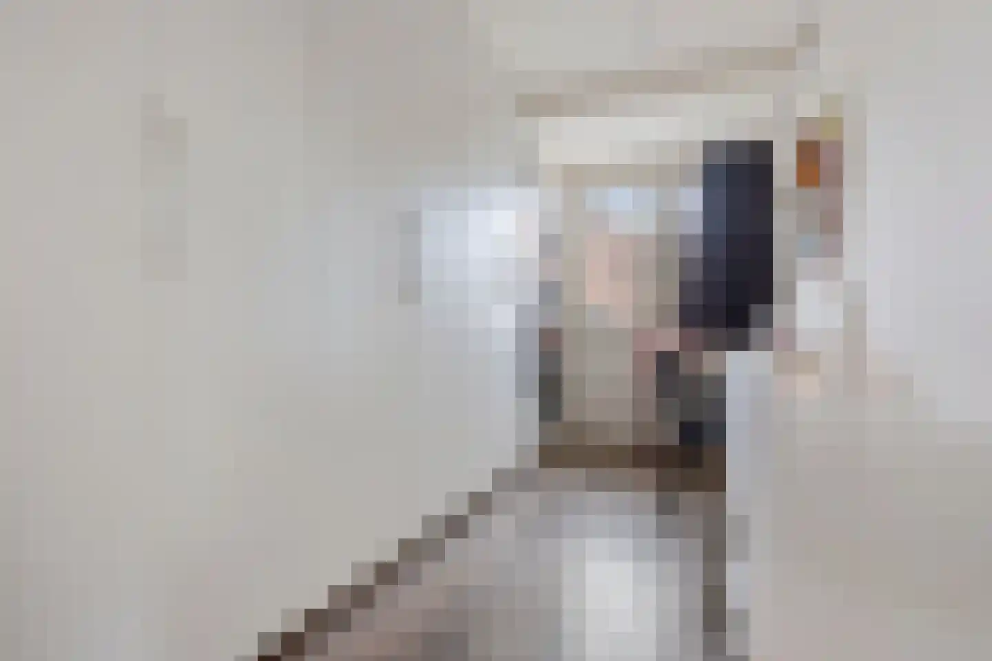 Jaap Hamminglaan 9 Eindhoven thumbnail 25