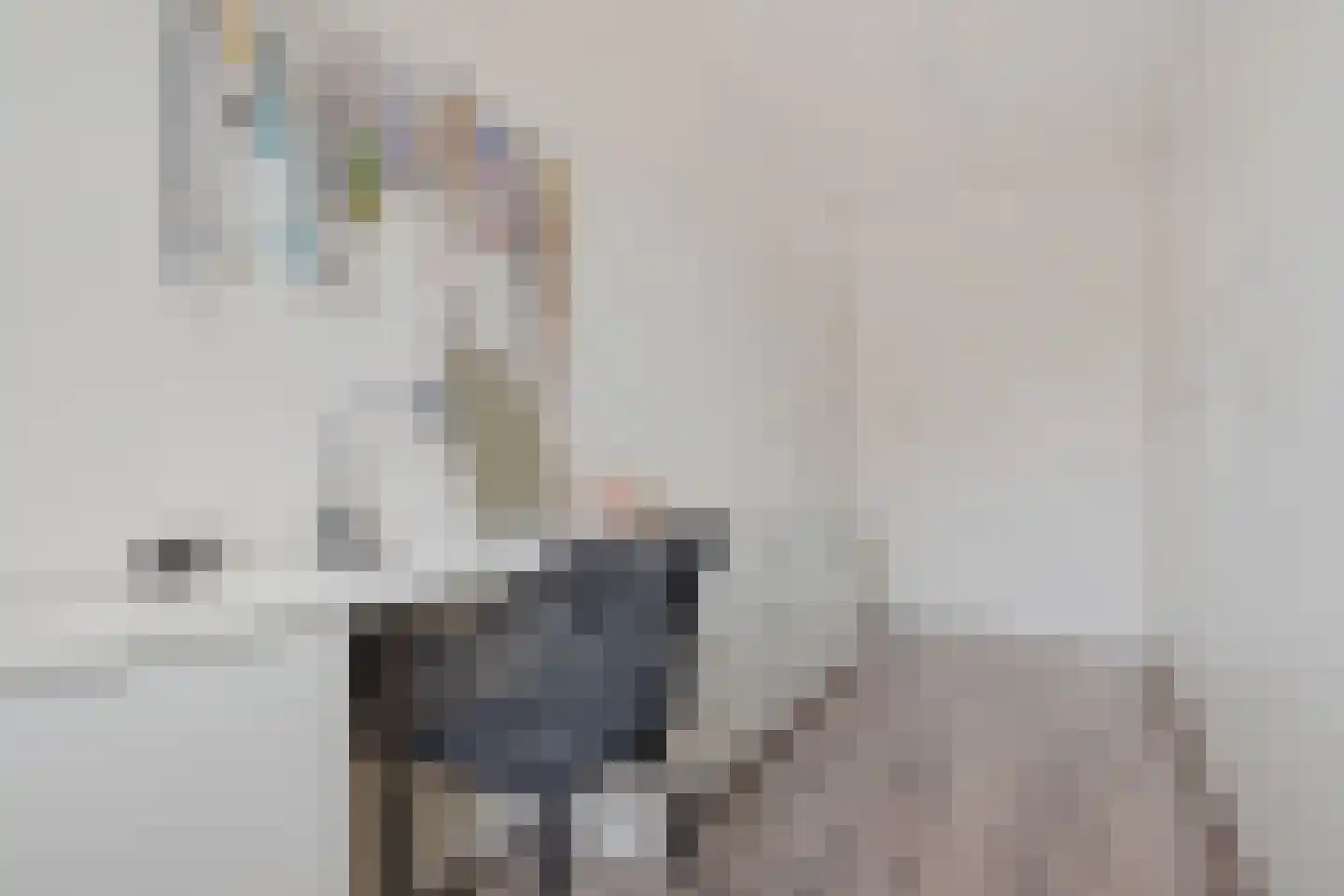 Jaap Hamminglaan 9 Eindhoven thumbnail 26