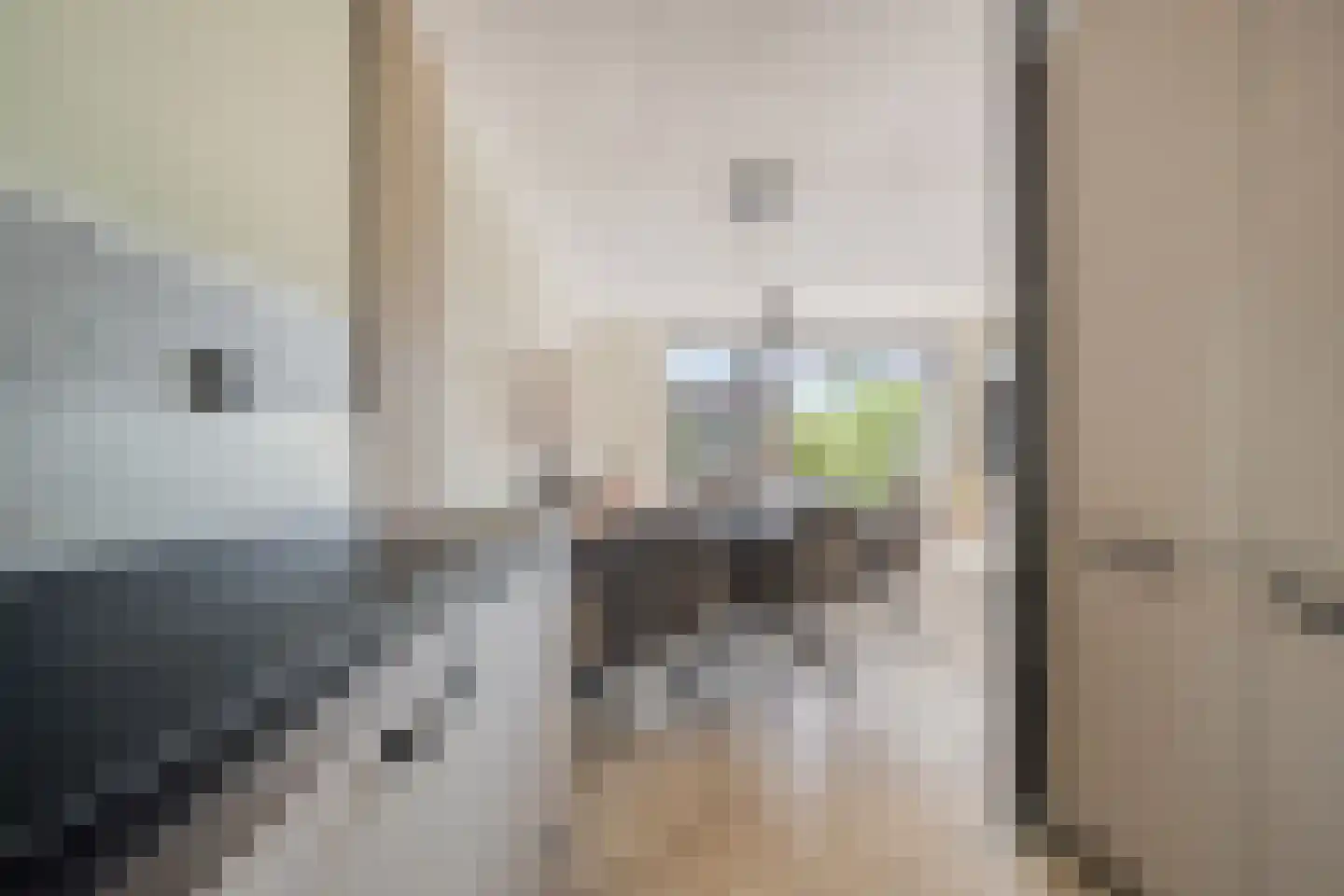 Jaap Kosterstraat 21 Klaaswaal thumbnail 14