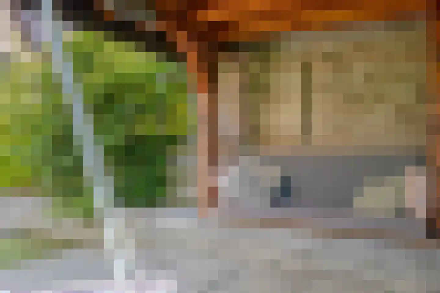 Jaap Kosterstraat 21 Klaaswaal thumbnail 35