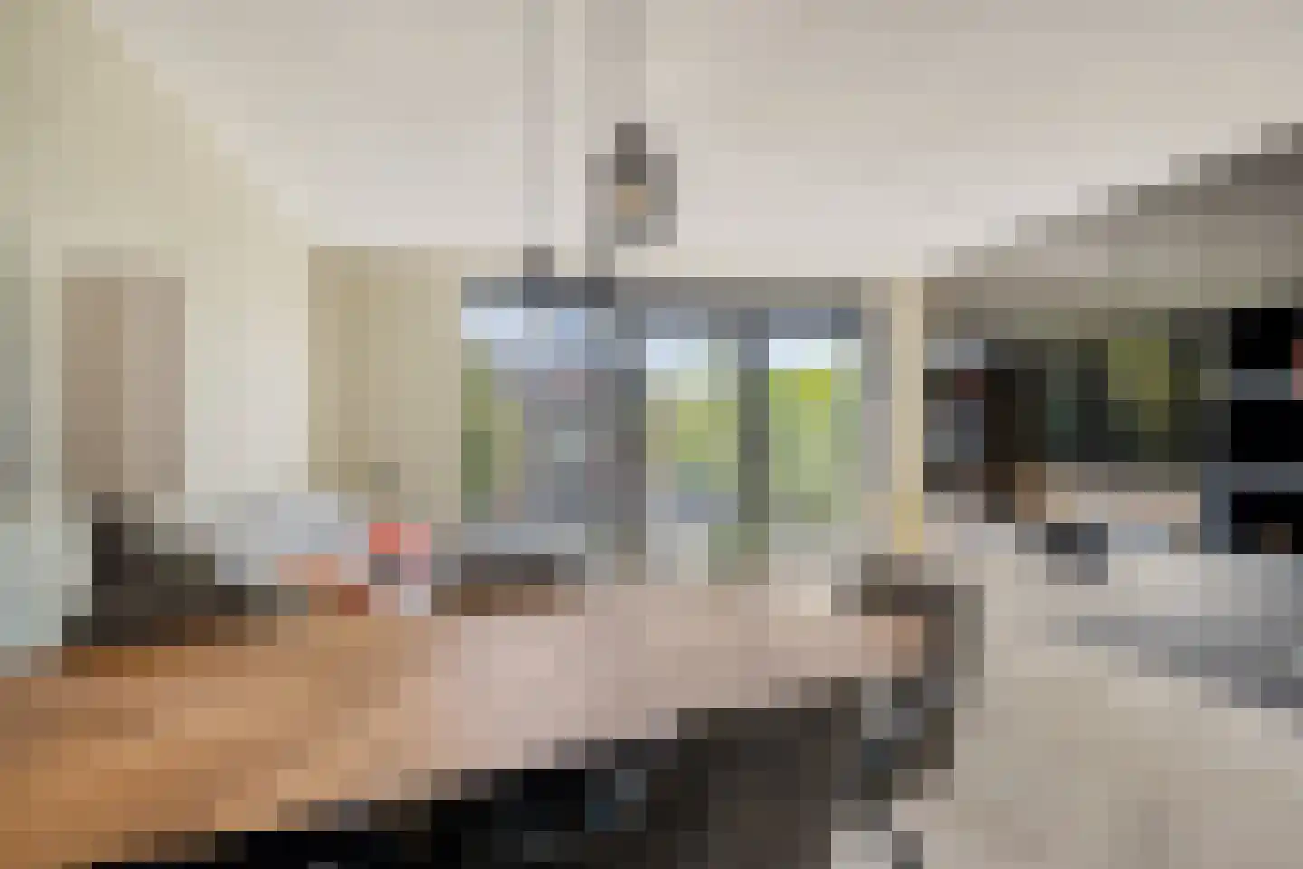 Jaap Kosterstraat 21 Klaaswaal thumbnail 7