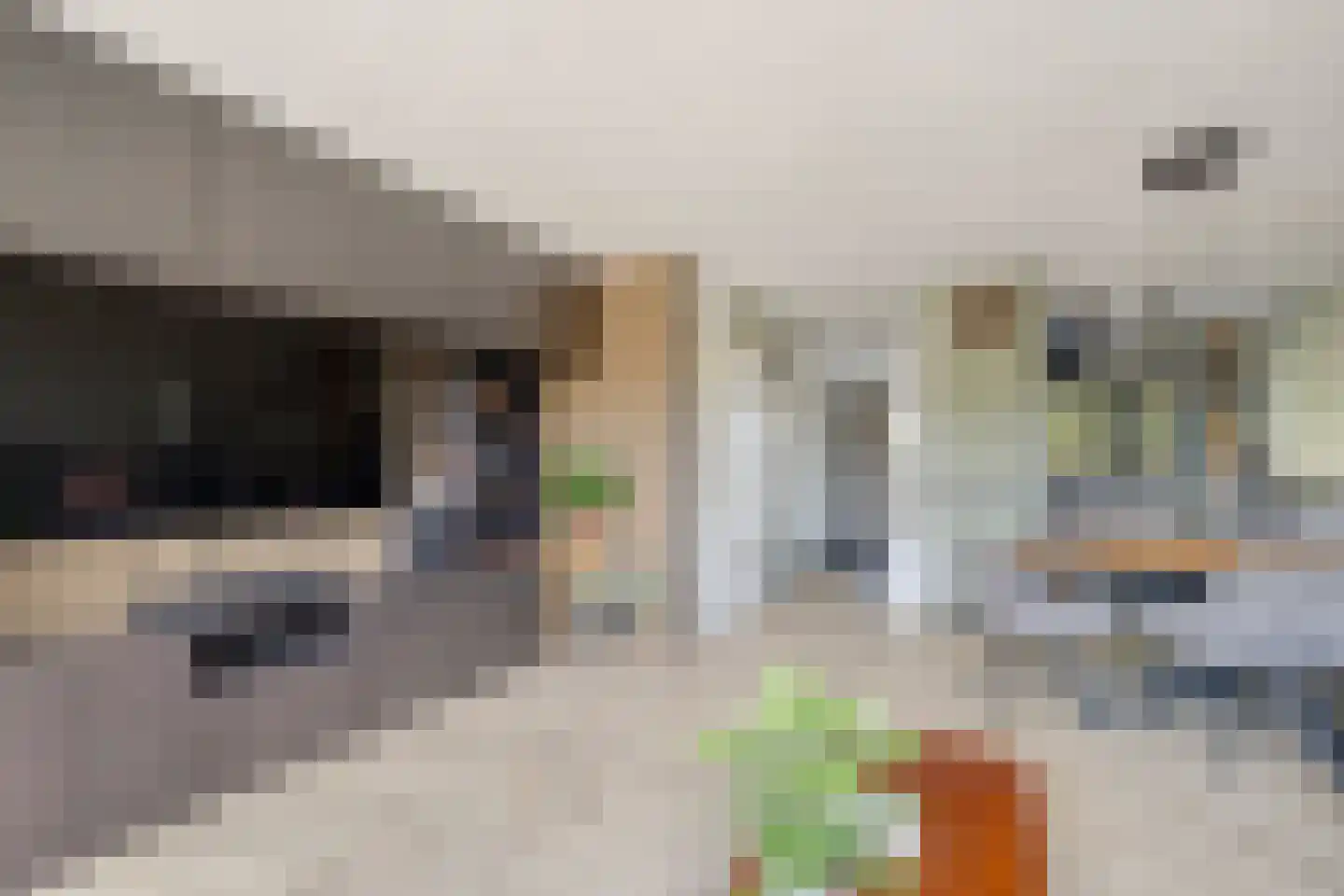 Jaap Kosterstraat 21 Klaaswaal thumbnail 9