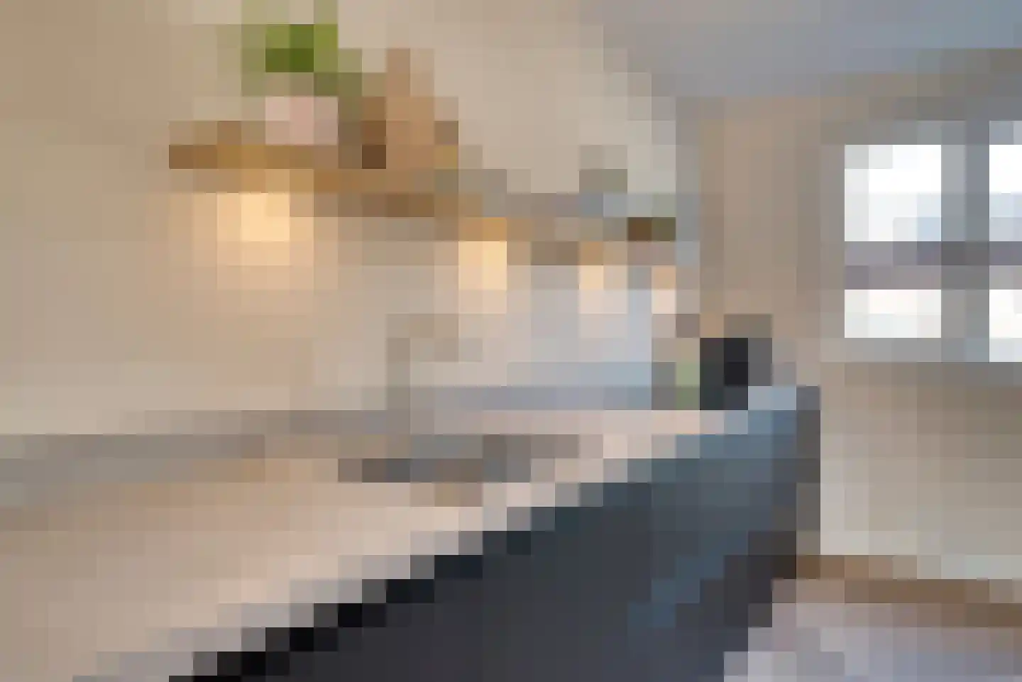 Jaap Spruijtwarande 27 Veenendaal thumbnail 10