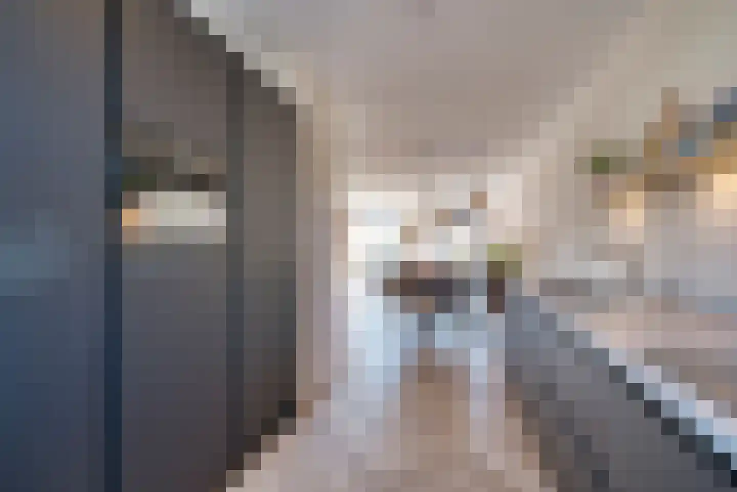 Jaap Spruijtwarande 27 Veenendaal thumbnail 13