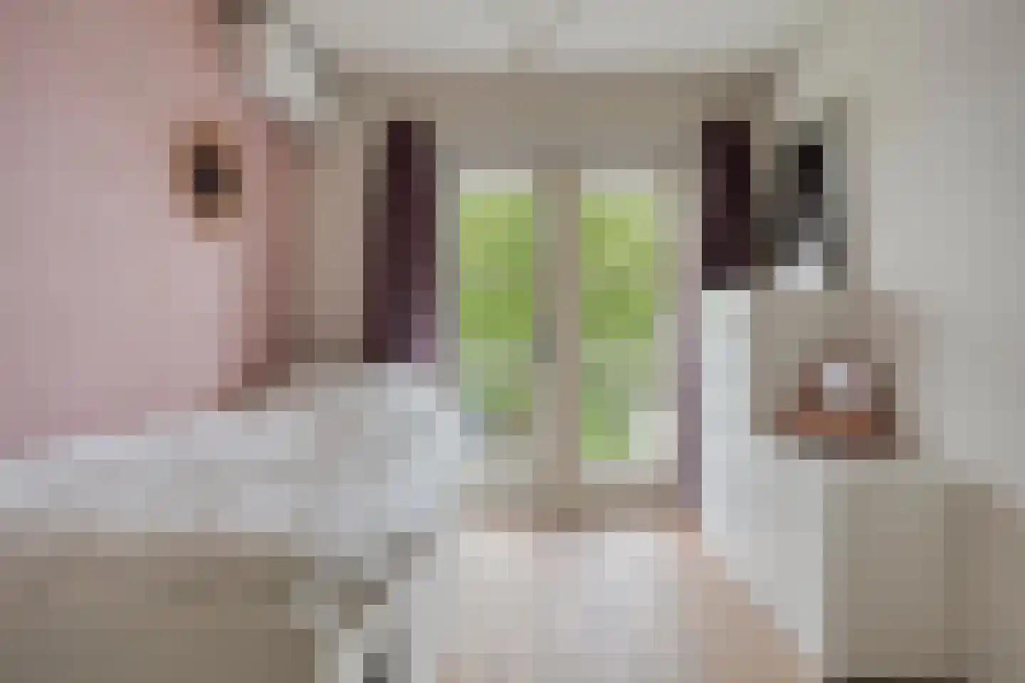 Jaap ter Haarstraat 59 Almere thumbnail 28