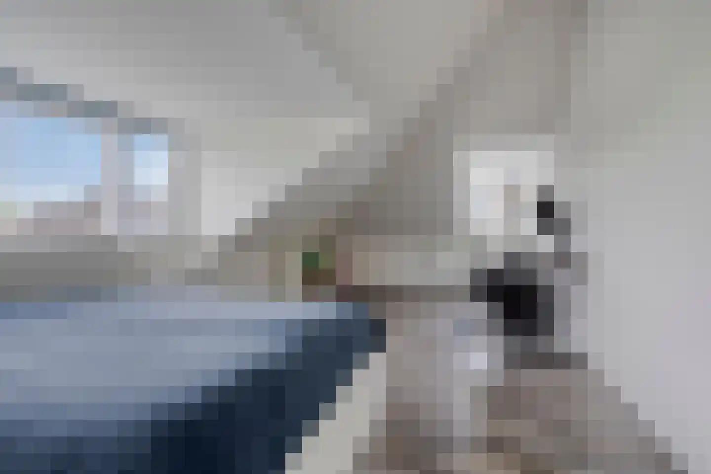 Jaap ter Haarstraat 59 Almere thumbnail 46