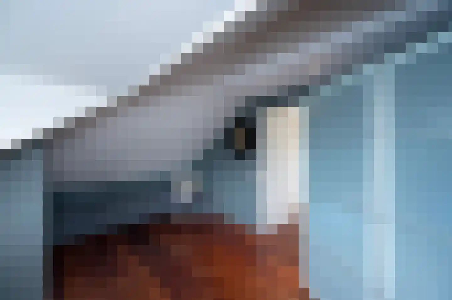 Jaap ter Haarstraat 69 Almere thumbnail 47