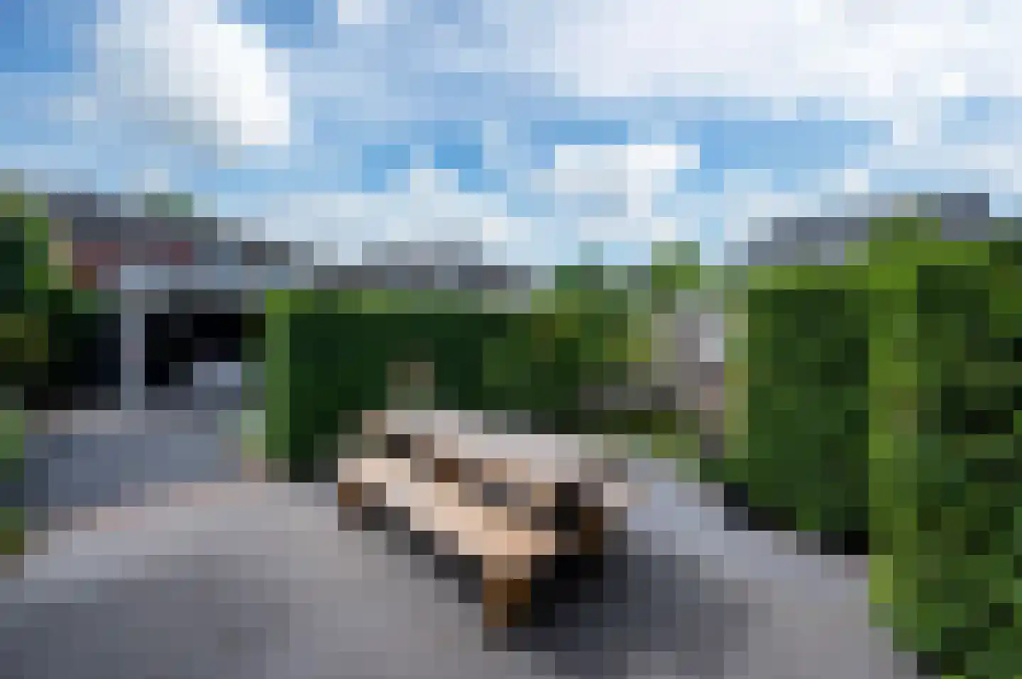 Jaap ter Haarstraat 69 Almere thumbnail 62