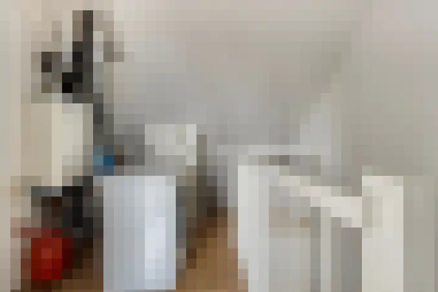 Jaap van de Scheurhof 5 Hoek van Holland thumbnail 30