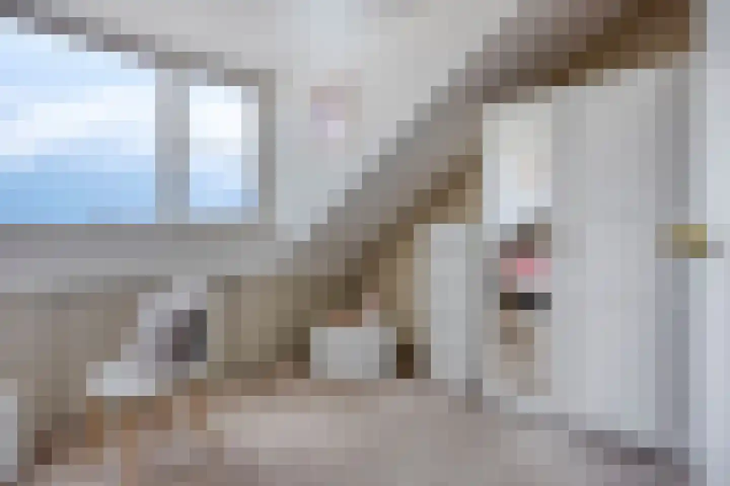 Jaap van de Scheurhof 5 Hoek van Holland thumbnail 31