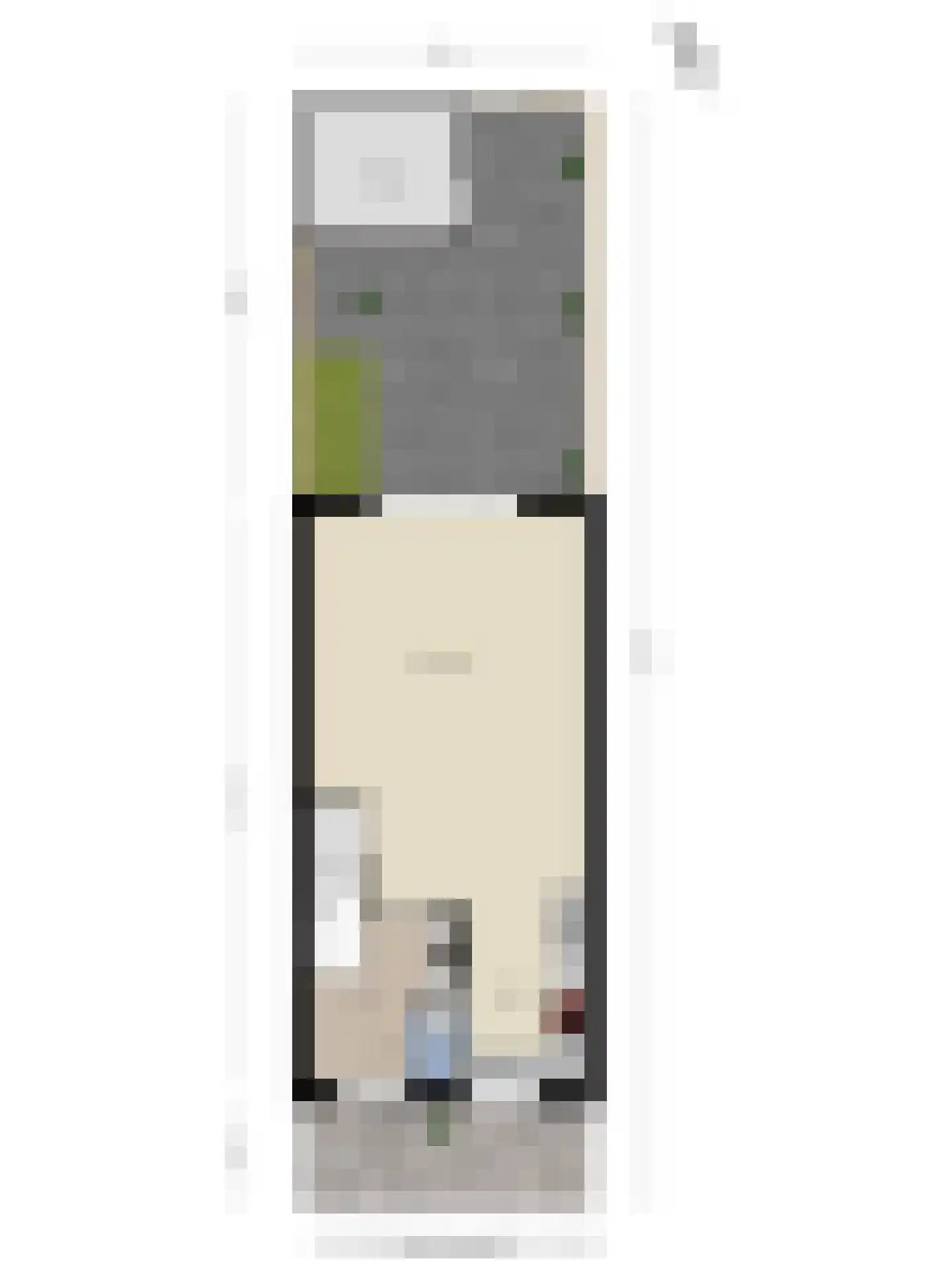 Jaap van de Scheurhof 5 Hoek van Holland thumbnail 41