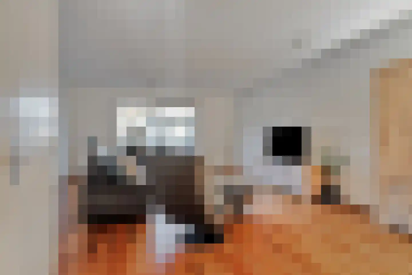 Jaap van de Scheurhof 8 Hoek van Holland thumbnail 13