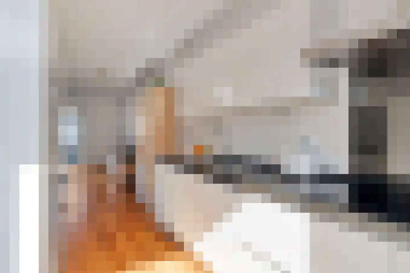 Jaap van de Scheurhof 8 Hoek van Holland thumbnail 16