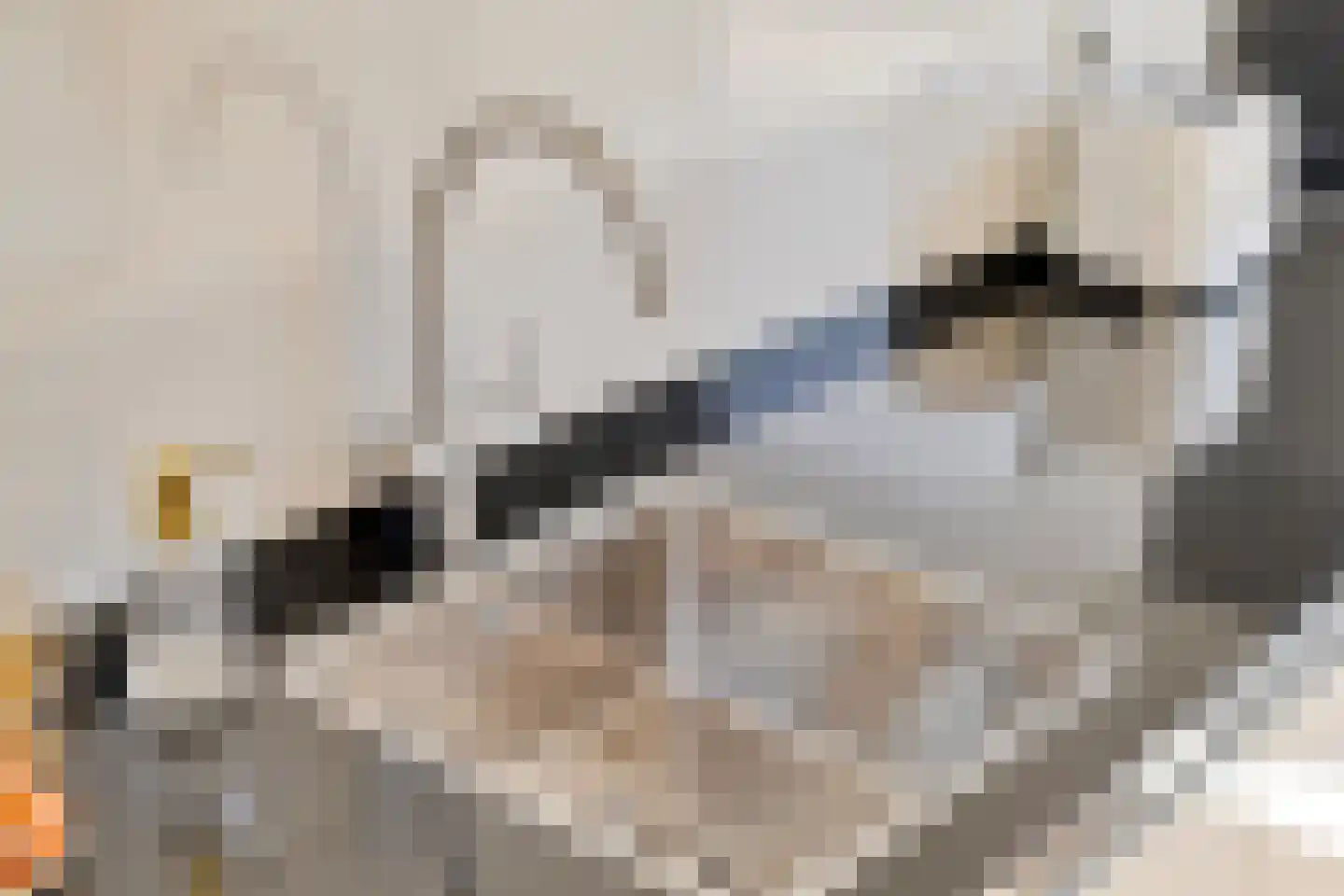Jaap van de Scheurhof 8 Hoek van Holland thumbnail 17