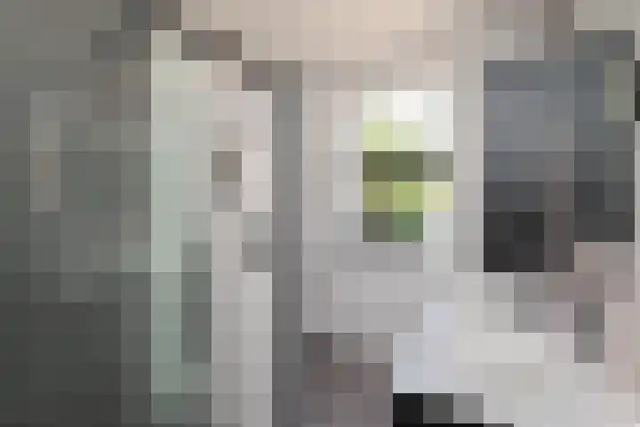 Jaap van der Graafstraat 9 Ridderkerk thumbnail 20