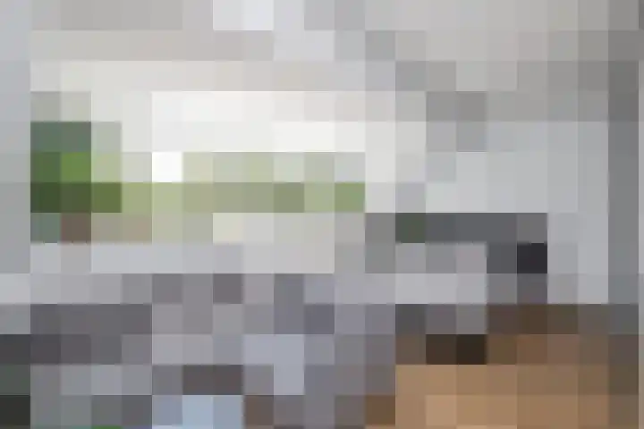 Jaap van der Graafstraat 9 Ridderkerk thumbnail 26