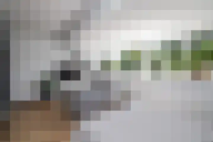 Jaap van der Graafstraat 9 Ridderkerk thumbnail 27