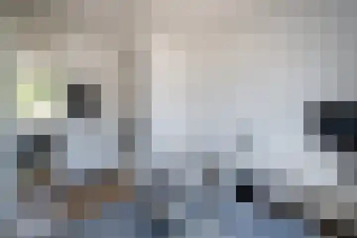 Jaap van der Graafstraat 9 Ridderkerk thumbnail 34