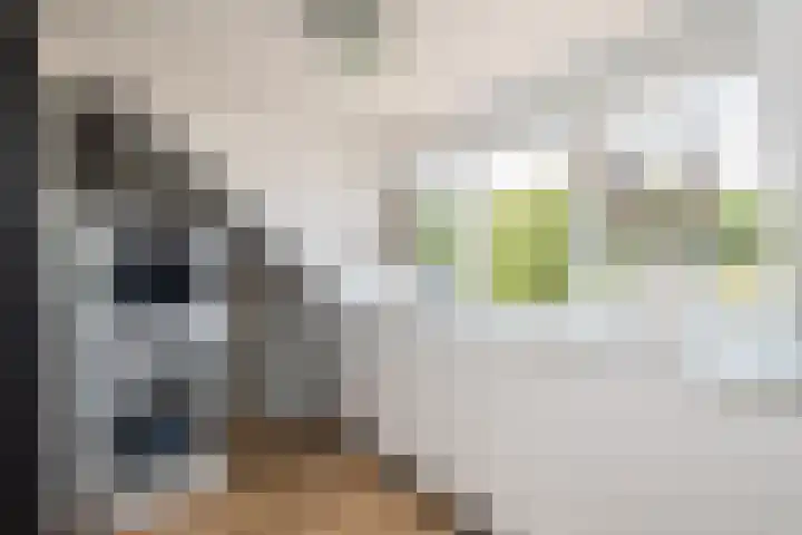 Jaap van der Graafstraat 9 Ridderkerk thumbnail 35