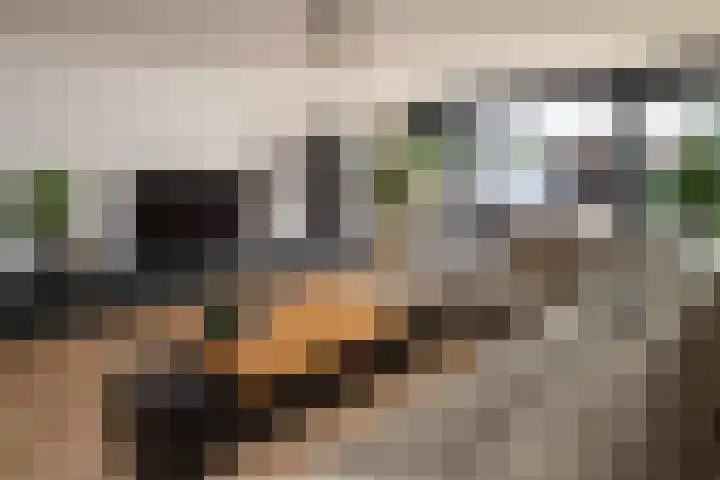 Jaap van der Graafstraat 9 Ridderkerk thumbnail 5