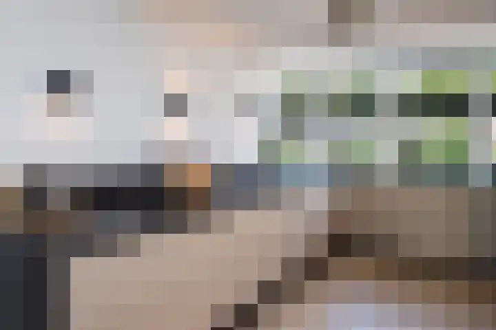 Jaap van der Graafstraat 9 Ridderkerk thumbnail 8