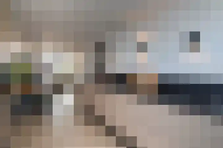 Jaap van der Graafstraat 9 Ridderkerk thumbnail 9