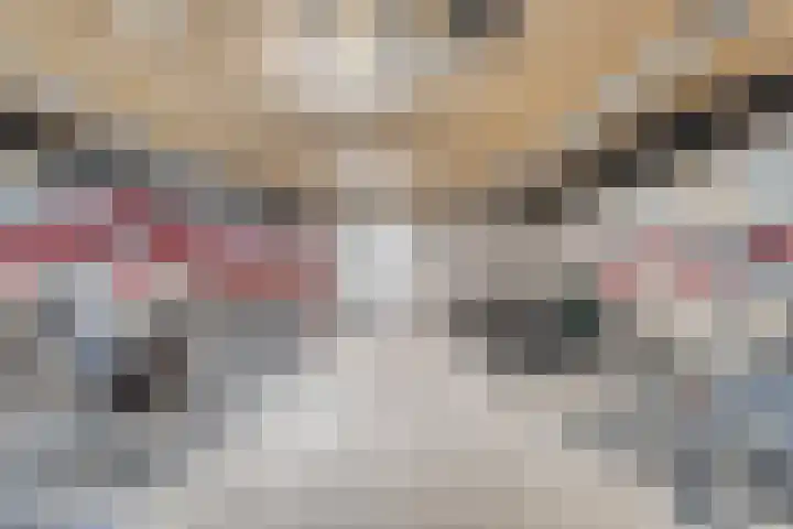 Jaap van der Hoekplaats 104 Rotterdam thumbnail 24