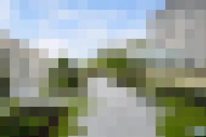 Jaap van der Hoekplaats 120 Rotterdam thumbnail 31
